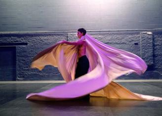 Wild Explosion of Radical Softness